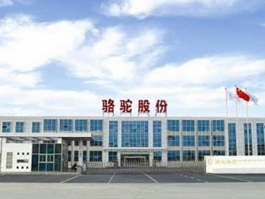 駱駝集團(tuán)股份有限公司